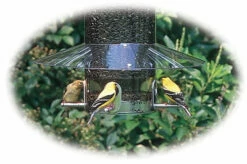 Weather Guard For Classic Bird Feeders