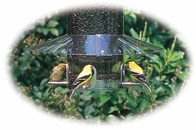 Weather Guard For Classic Bird Feeders 1 Weather Guard For Classic Bird Feeders