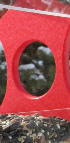 Recycled Window Bird Feeder-3 Colors 7 Recycled Window Bird Feeder-3 Colors -US Poultry Sales Store NPU MED R 7db42d55 a6d0 48c0 a6b7 6fcb46e109df
