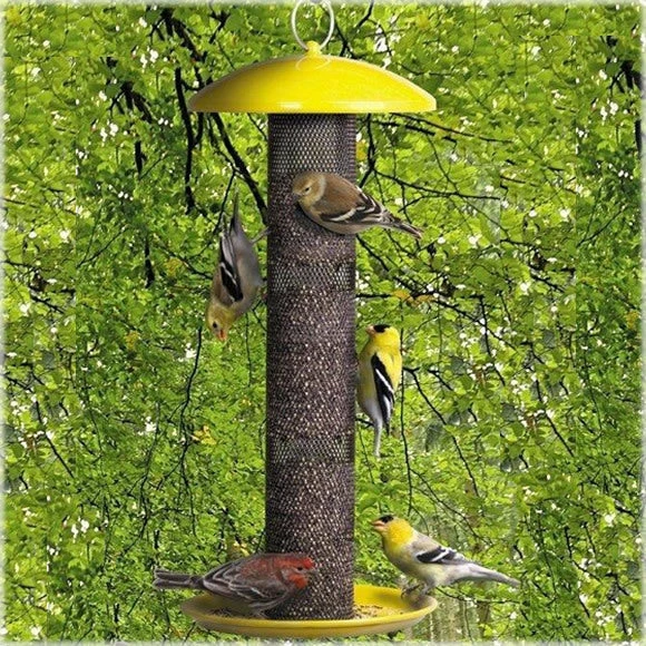 Yellow Finch Feeder By No-No 1 Yellow Finch Feeder By No-No