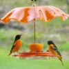 Oriolefest Oriole Bird Feeder