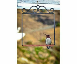 Pop's Hummingbird Swing -US Poultry Sales Store POPSWINGBL
