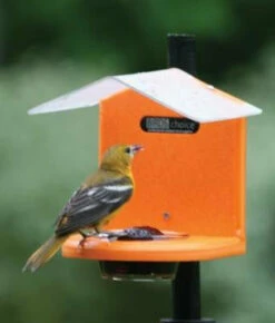 Recycled Pole Mount Oriole Feeder With Roof