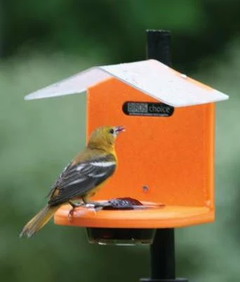 Recycled Pole Mount Oriole Feeder With Roof 1 Recycled Pole Mount Oriole Feeder With Roof