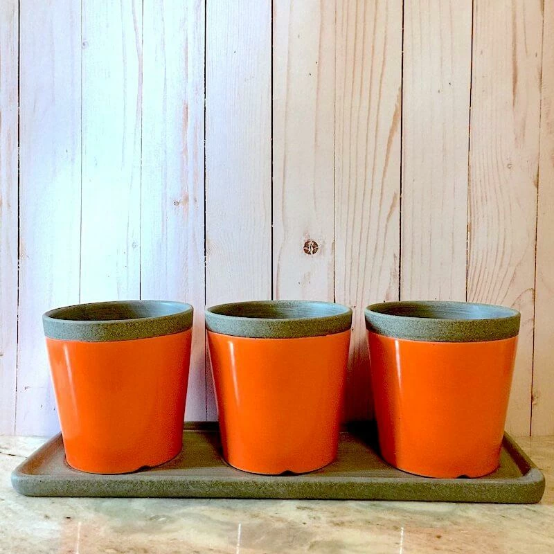 Poppy Triple Herb Planters- Detached Tray 1 Poppy Triple Herb Planters- Detached Tray