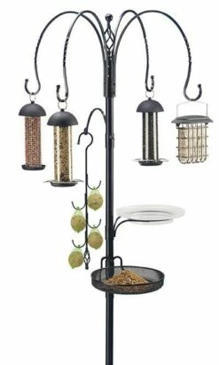 Complete Bird Feeding Station With Feeders