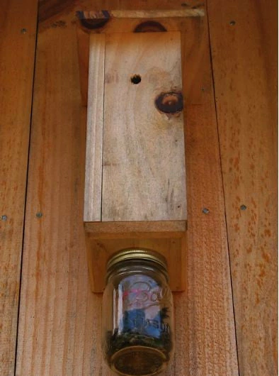 Carpenter Bee Trap 1 Carpenter Bee Trap