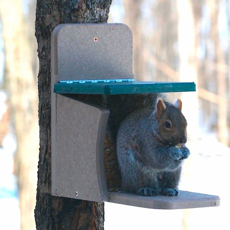 Recycled Munch Box Squirrel Feeder 1 Recycled Munch Box Squirrel Feeder
