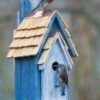Rustic Bluebird Manor 2 Colors
