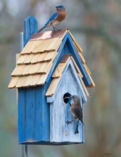 Rustic Bluebird Manor 2 Colors