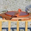 Cedar Heated Deck Mount Bird Bath
