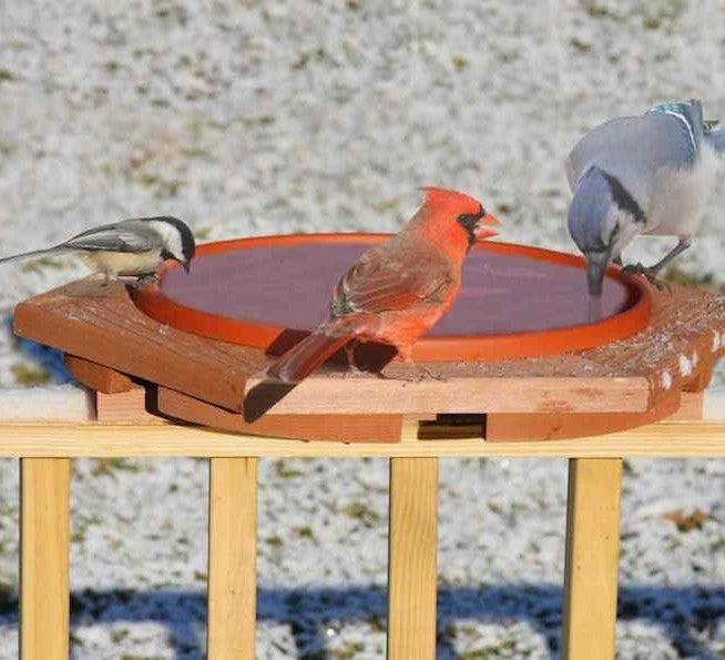 Cedar Heated Deck Mount Bird Bath 1 Cedar Heated Deck Mount Bird Bath