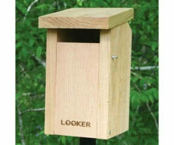 Bluebird House With Slot Entry-NABS Approved