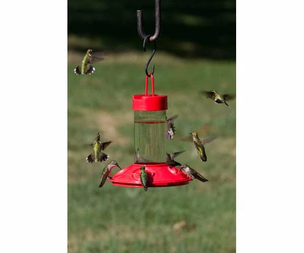 Dr. JB's Clean Hummingbird Feeder & Hummer Helmet 2 Dr. JB's Clean Hummingbird Feeder & Hummer Helmet - Image 2