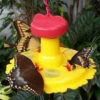Butterfly Feeder With Nectar - Hang Or Pole Mount