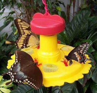 Butterfly Feeder With Nectar - Hang Or Pole Mount 1 Butterfly Feeder With Nectar - Hang Or Pole Mount