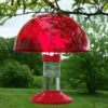 Dr. JB's Clean Hummingbird Feeder & Hummer Helmet