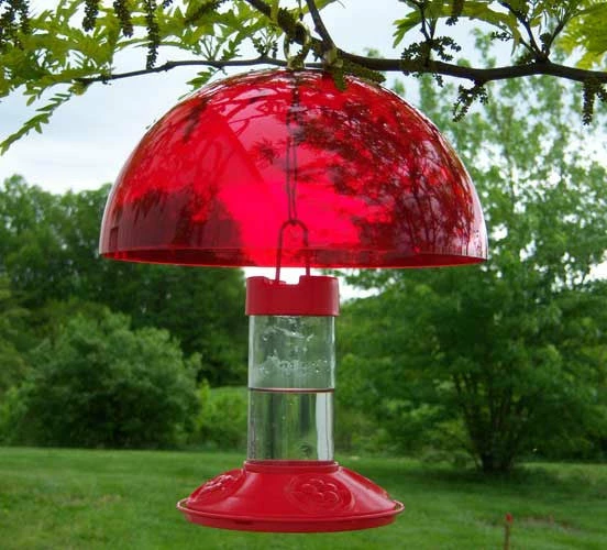 Dr. JB's Clean Hummingbird Feeder & Hummer Helmet 1 Dr. JB's Clean Hummingbird Feeder & Hummer Helmet