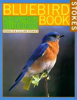 Complete Guide To Attracting Bluebirds 1 Complete Guide To Attracting Bluebirds