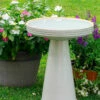 Simple Elegance Pedestal Bird Bath- 4 Colors