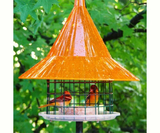 Sky Cafe Oriole Feeder 1 Sky Cafe Oriole Feeder -US Poultry Sales Store Sky Cafe Oriole Feeder