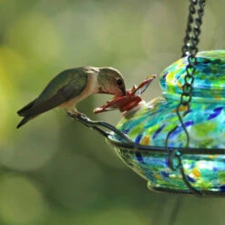 Solar Glass Hummingbird Feeder With Perch 9 Solar Glass Hummingbird Feeder With Perch -US Poultry Sales Store Solar Hummingbird Feeder Detail