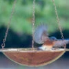 Solid Copper Hanging Bird Bath, 2 Sizes