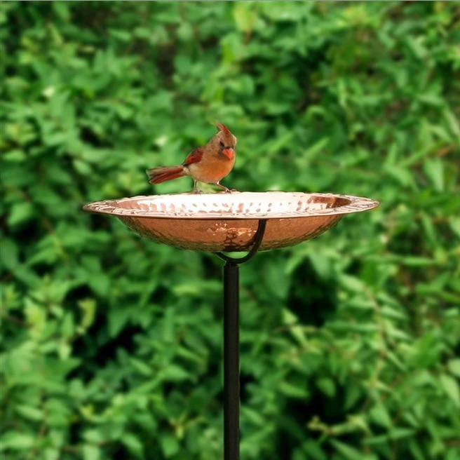Solid Copper Staked Bird Bath- 2 Sizes 1 Solid Copper Staked Bird Bath- 2 Sizes