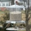 Songbird All-Weather Feeder 4 Or 6 Qt.