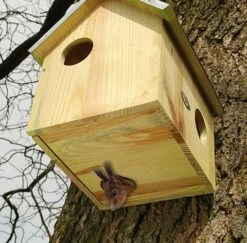 ESSCHERT DESIGN Squirrel House With Bottom Entry