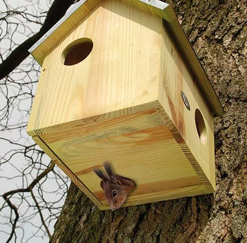 ESSCHERT DESIGN Squirrel House With Bottom Entry 1 ESSCHERT DESIGN Squirrel House With Bottom Entry