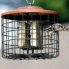 Squirrel Proof Double Suet Feeder