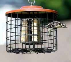 Squirrel Proof Double Suet Feeder