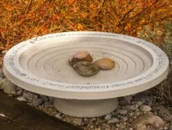 Large Step-In Bird Bath 5 Large Step-In Bird Bath -US Poultry Sales Store Stone Birdbath with Steps