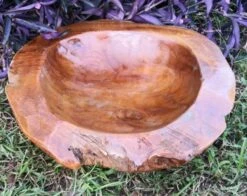 Decorative Teak Wood Bowls -US Poultry Sales Store Teak Bowl G