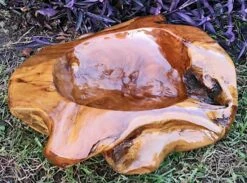 Decorative Teak Wood Bowls -US Poultry Sales Store Teak Bowl H