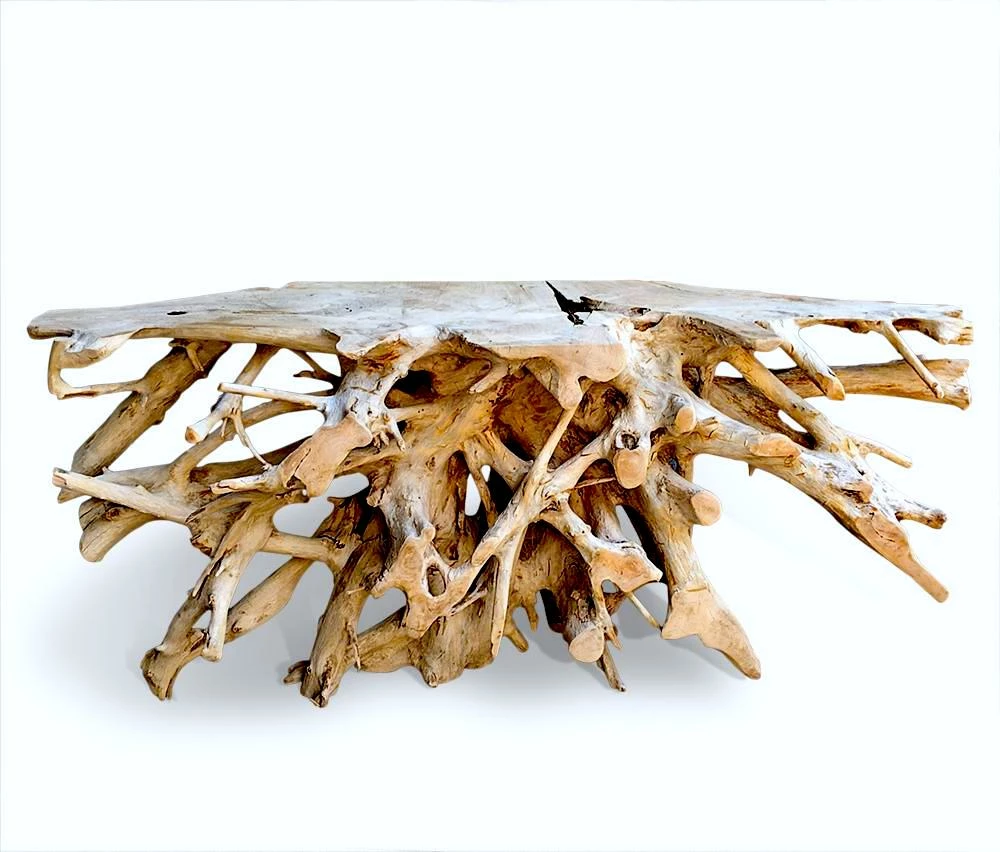 Teak Root Console Table 3 Teak Root Console Table - Image 3