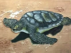 Sea Turtle Ceramic Tile