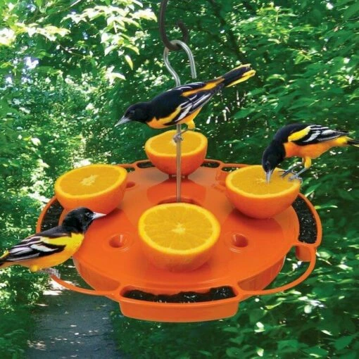 Ultimate Oriole Feeder 8 Ultimate Oriole Feeder -US Poultry Sales Store Ultimate Oriole Feeder