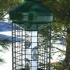 Deluxe Large Capacity Squirrel-Proof Feeder