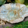 Large Ground Bird Bath- Organic Patina