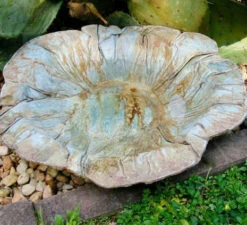 Large Ground Bird Bath- Organic Patina