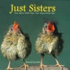 Just Sisters Gift Book