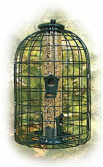 Caged Squirrel Proof Bird Feeder- 2 Lb. 1 Caged Squirrel Proof Bird Feeder- 2 Lb.