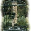 Caged Squirrel Proof Bird Feeder W/ Tray
