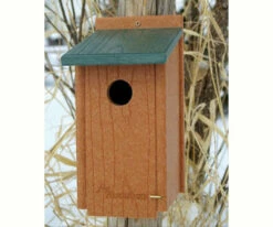 Recycled Western Bluebird House-NABS Approved