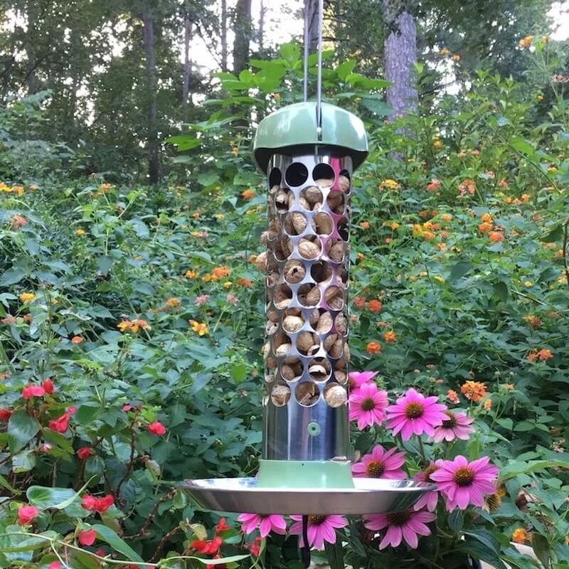 Stainless Steel Whole Peanut Bird Feeder 1 Stainless Steel Whole Peanut Bird Feeder