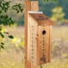 Wine Crate Birdhouse