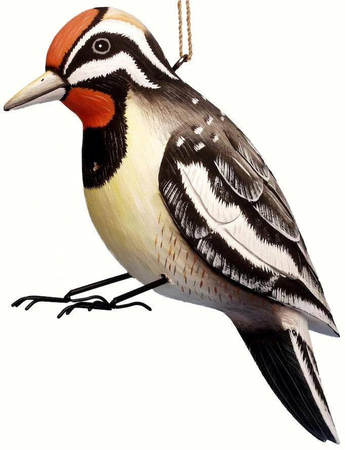 Yellow-Belly Sapsucker Wood Birdhouse 1 Yellow-Belly Sapsucker Wood Birdhouse