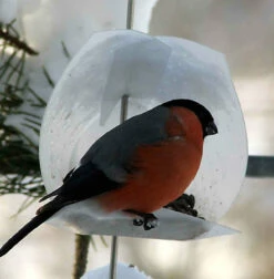 Euro Bird Feeder Kit